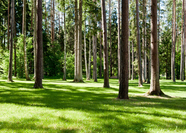 1556029223805554.jpg apic1742.jpg