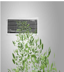 1559281037639839.png 中央空調(diào).png